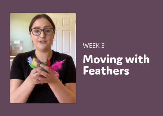 Video: Move with Feathers