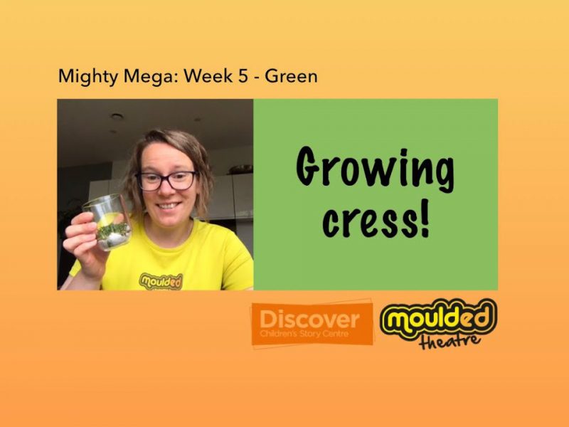 Video 6: Growing cress