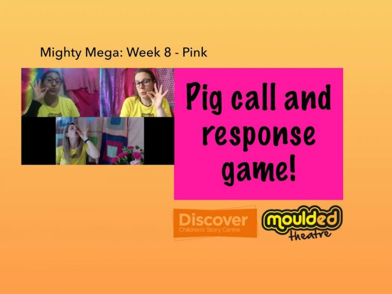 Video 8: Pig call and response game