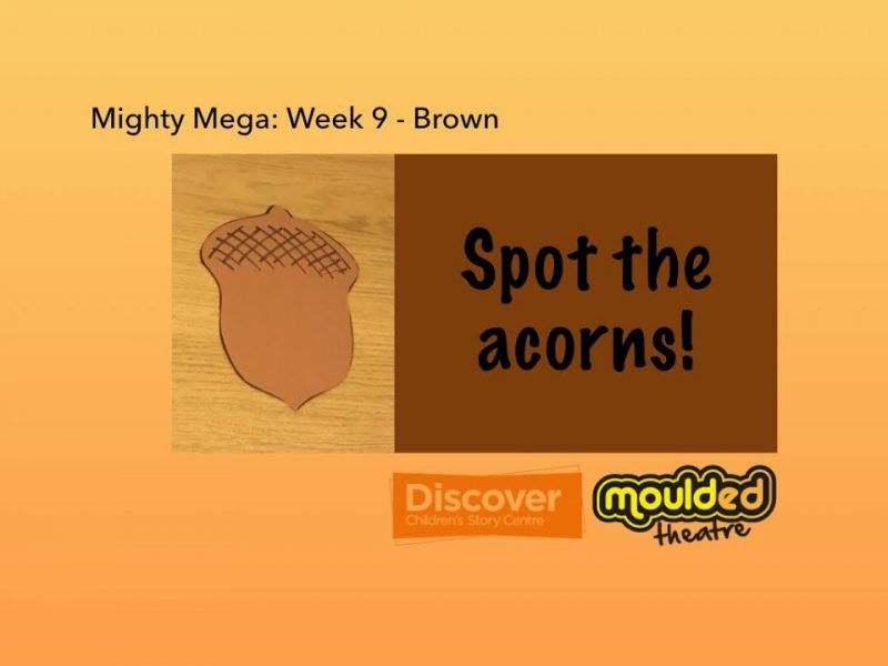 Video 6: Spot the acorns!