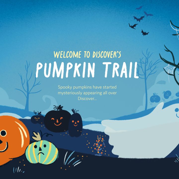 Pumpkin Trail